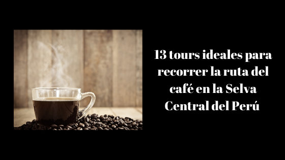 13 tours ideales para recorrer la ruta del café en la Selva Central del Perú