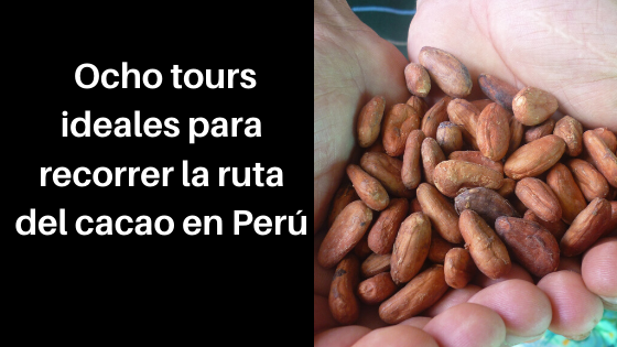 ocho tours para recorrer la ruta del cacao en Perú