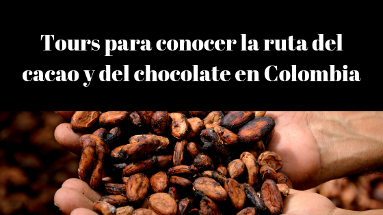 ruta del cacao en Colombia