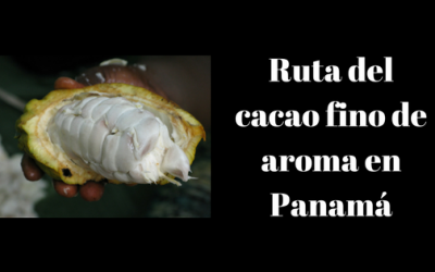 Tours para recorrer la ruta del cacao fino de aroma en Panamá