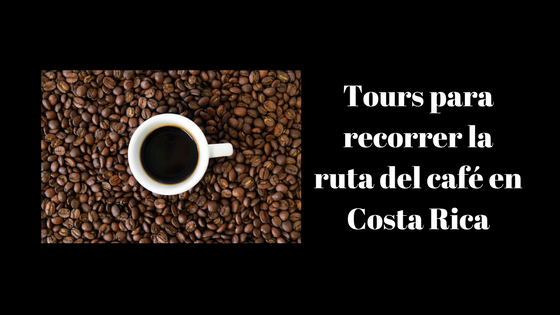 Tours para recorrer la ruta del café en Costa Rica