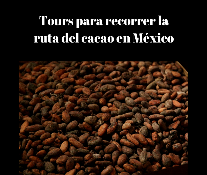 Tours para recorrer la ruta del cacao en México