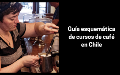 Guía esquemática de cursos de café en Chile