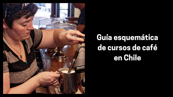 Guía esquemática de cursos de café en Chile