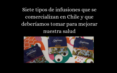 Siete tipos de infusiones que se comercializan en Chile y que deberíamos tomar para mejorar nuestra salud