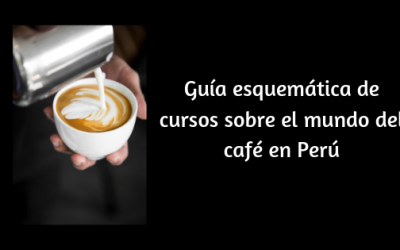 Guía esquemática de cursos sobre el mundo del café en Perú