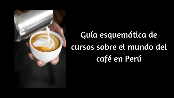cursos sobre el mundo del café en Perú