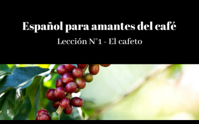 Español para amantes del café – Lección N°1- El cafeto y el café