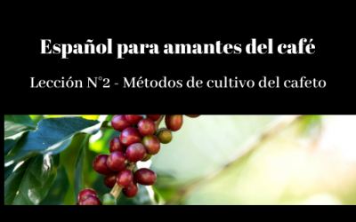 Español para amantes del café – Lección N° 2 – Métodos de cultivo del cafeto